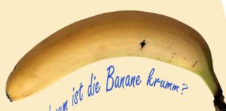 Kausalsatz (придаточное предложение причины) Kausalsatz (придаточное предложение причины)